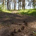 Kauksi Campsite Feriepark *