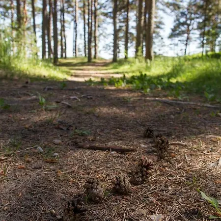 Kauksi Campsite Üdülőpark *