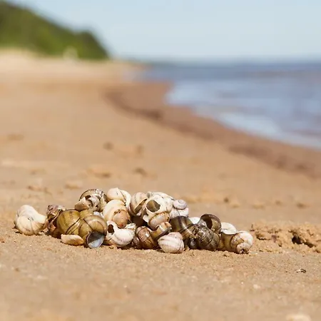 Kauksi Campsite * Kauksi (Ida-Viru)