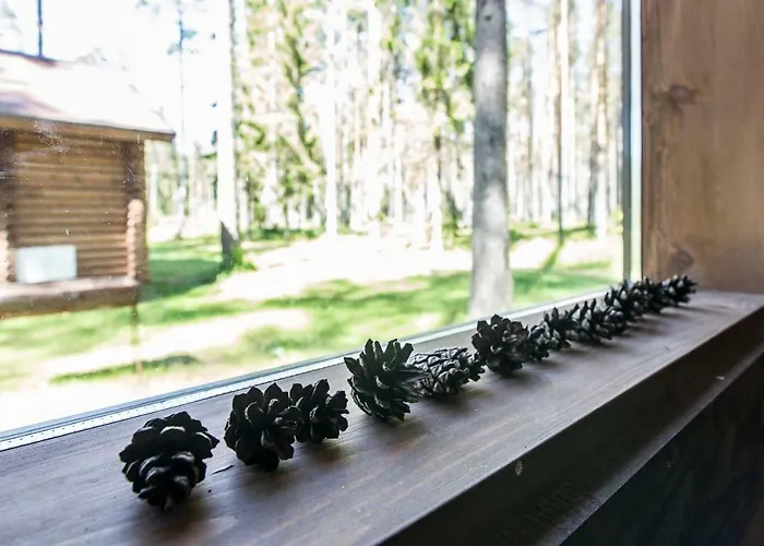 Holiday park Kauksi Campsite *