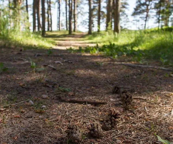 Kauksi Campsite Holiday park *