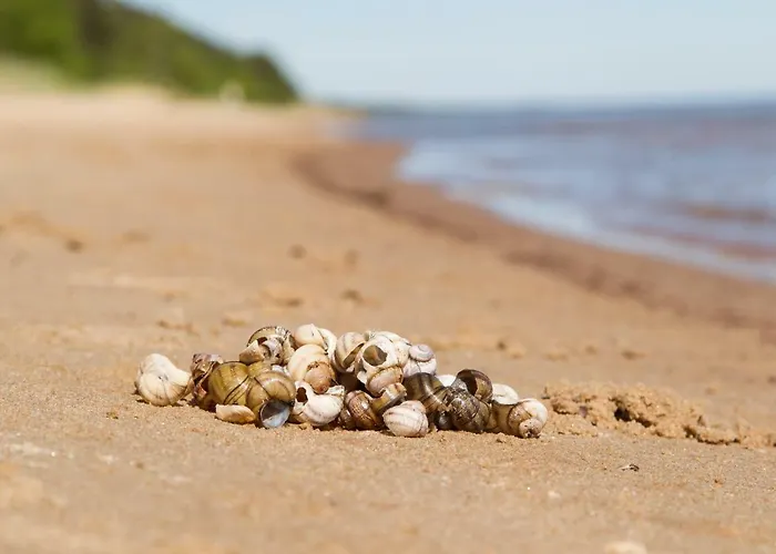 Kauksi Campsite * Kauksi (Ida-Viru)